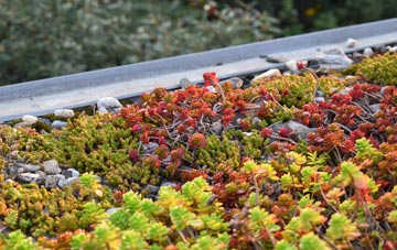 the cost of Bagnall green roof installation