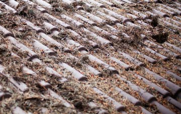 Bagnall roof cleaning companies